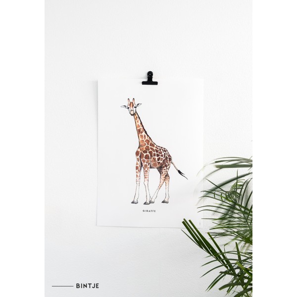 Poster 50x70 Giraf - 5 stuks Poster 50x70 Giraf - 5 stuks